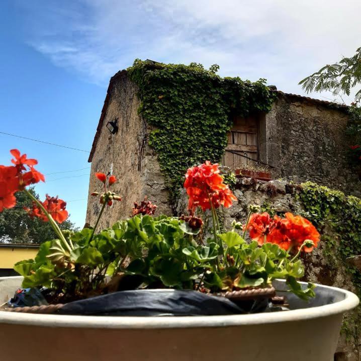 Affittacamere Varone Montaquila Εξωτερικό φωτογραφία